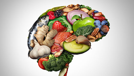 Brain Foods Brain Supplements